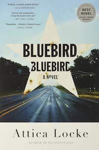 A graphic of the cover of Bluebird Bluebird