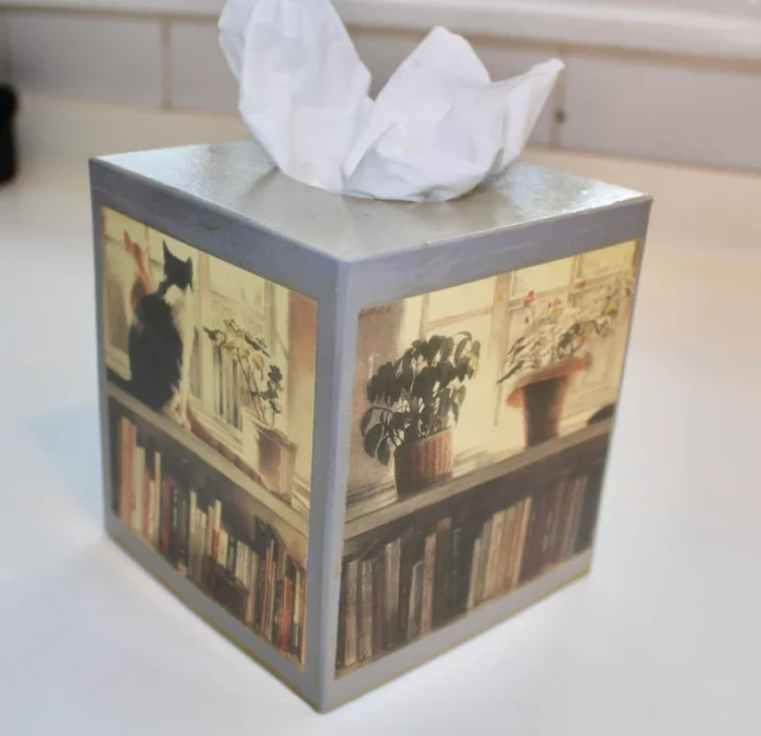 Tissue box cover with a cat in a bookshelf on it