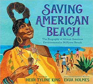 Cover of Saving American Beach