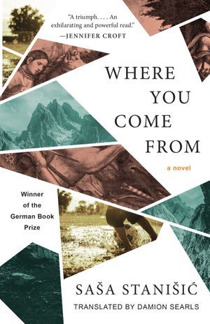 Book cover of Where You Come From