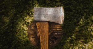 Image of hatchet on tree stump