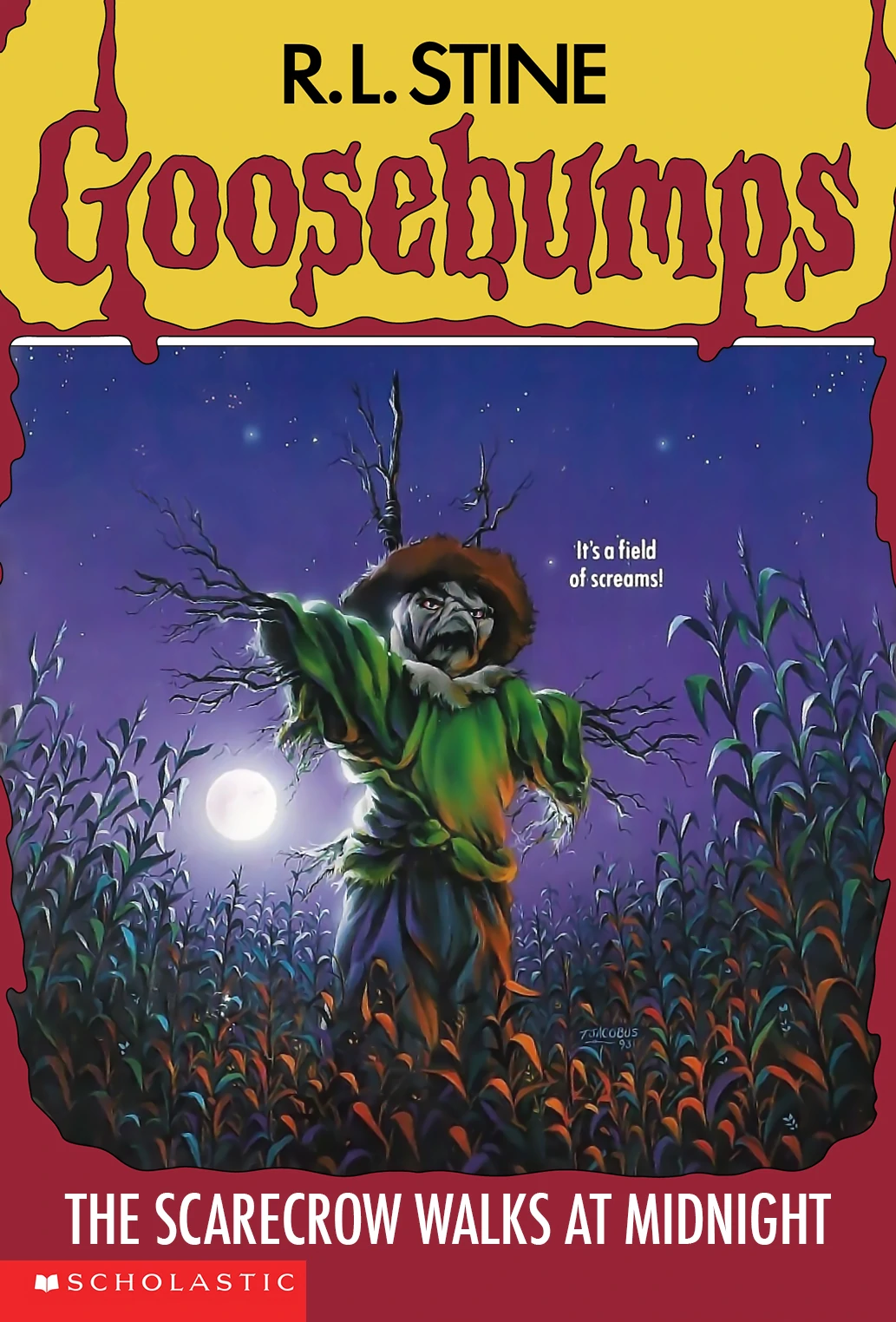 the cover of The Scarecrow Walks at Midnight