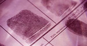 image of a fingerprint sheet