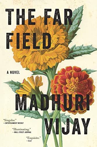 Book cover of The Far Field by Madhuri Vijay