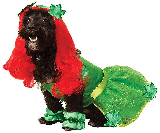 a photo of a dog wearing a Poison Icy costume