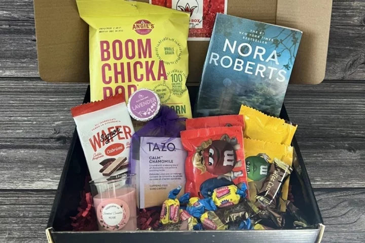 10 Non Book Subscription Boxes That Often Include Books - 51