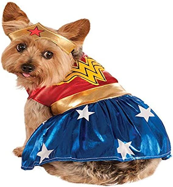 a photo of a small dog wearing a wonder woman costume, including tiara