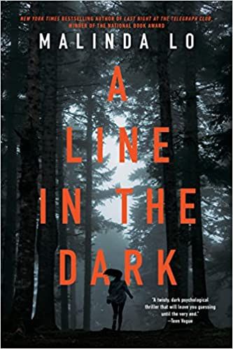 a line in the dark book cover
