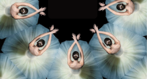 a cropped cover of Bunheads, showing an illustration of a group of ballerinas in formation