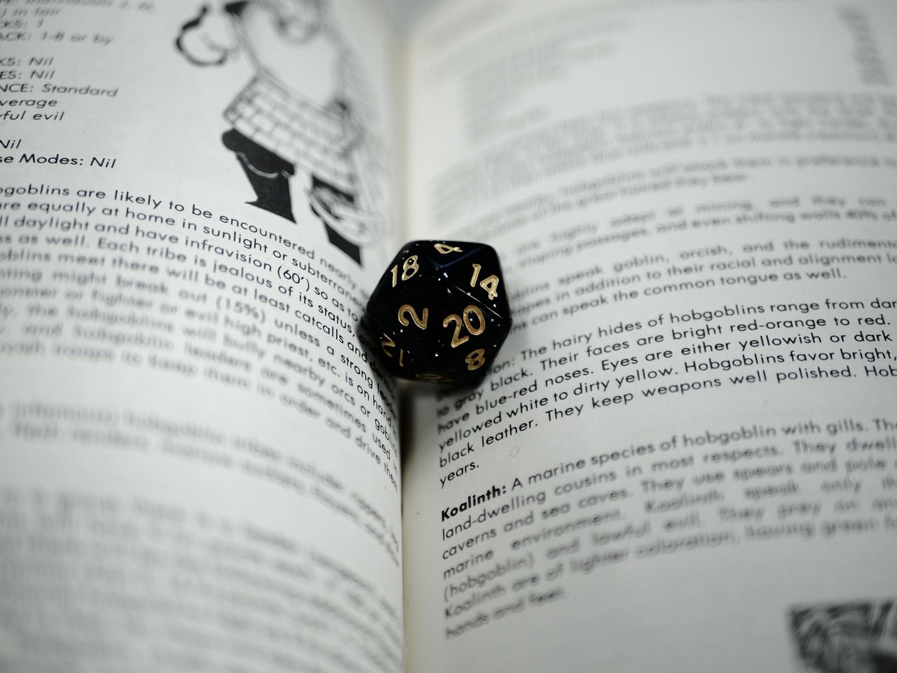 a photo of a D20 in a book