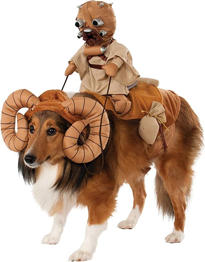a photo of a dog wearing a Bantha costume with a rider