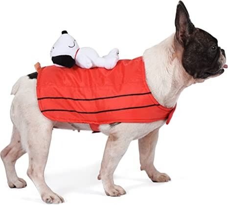 a photo of a dog wearing a doghouse and Snoopy costume