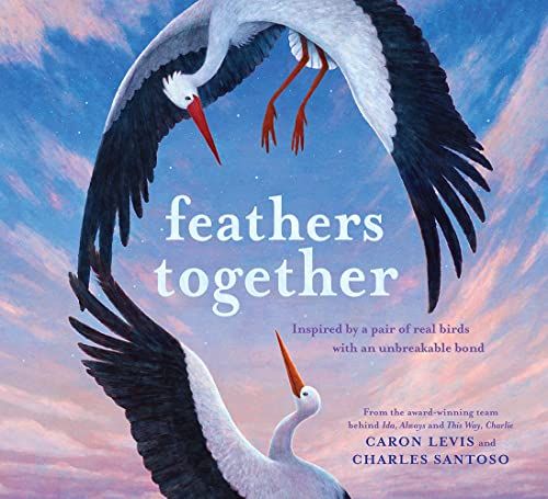feathers together book cover