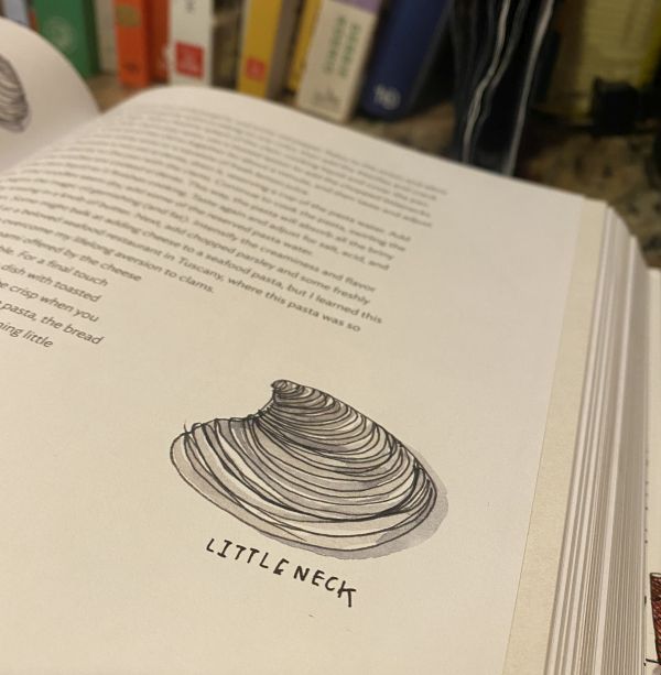 illustration of a littleneck clam from Samin Nosrat's Salt Fat Acid Heat | photo by Steph Auteri