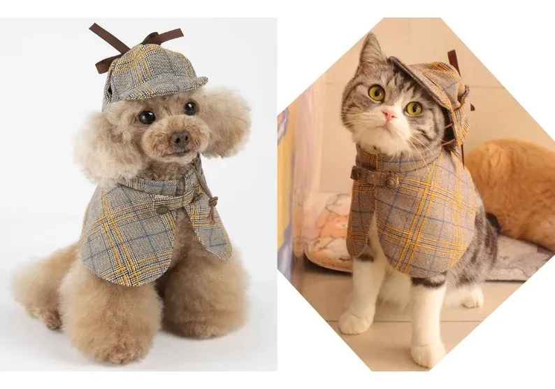 photo of a dog and cat wearing a Sherlock costume