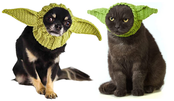 a photo of a cat and dog wearing knitted Yoda ear headbands/snoods