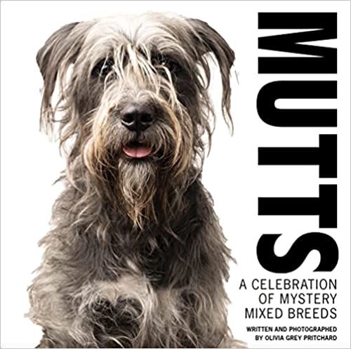 MUTTS: A Celebration of Mystery Mixed Breeds; photograph of a shaggy white dog book cover