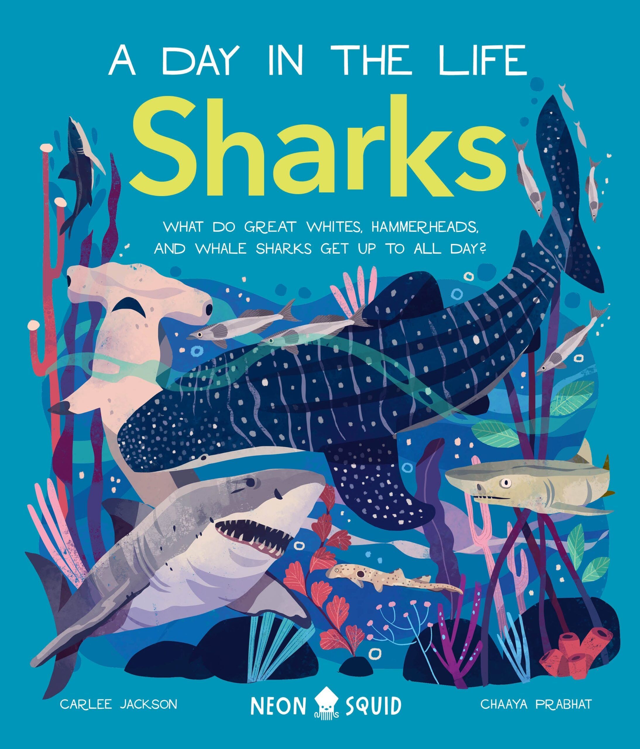 Book cover of Sharks by Carlee Jackson