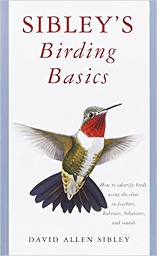 cover of Sibley's Birding Basics: How to Identify Birds, Using the Clues in Feathers, Habitats, Behaviors, and Sounds by David Allen Sibley; illustration of a ruby-throated hummingbird