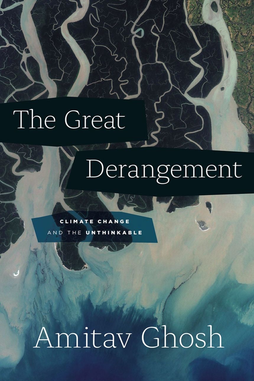 Book cover for The Great Derangement