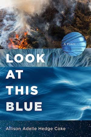 cover of Look at This Blue by Allison Adelle Hedge Coke