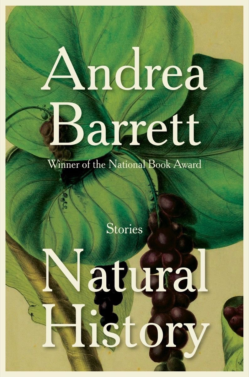 natural history book cover