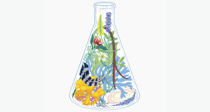 the cropped cover of Nose Dive, showing an illustration of a beaker full of flowers and other plants
