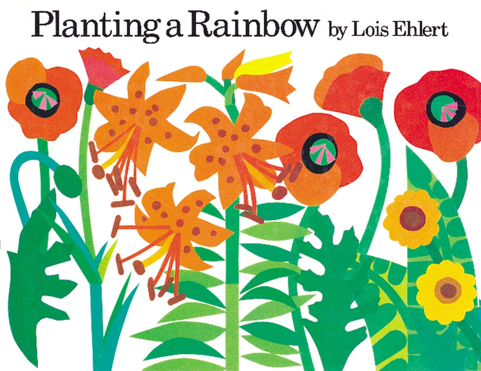 The Best Unexpected Board Books To Gift - 47