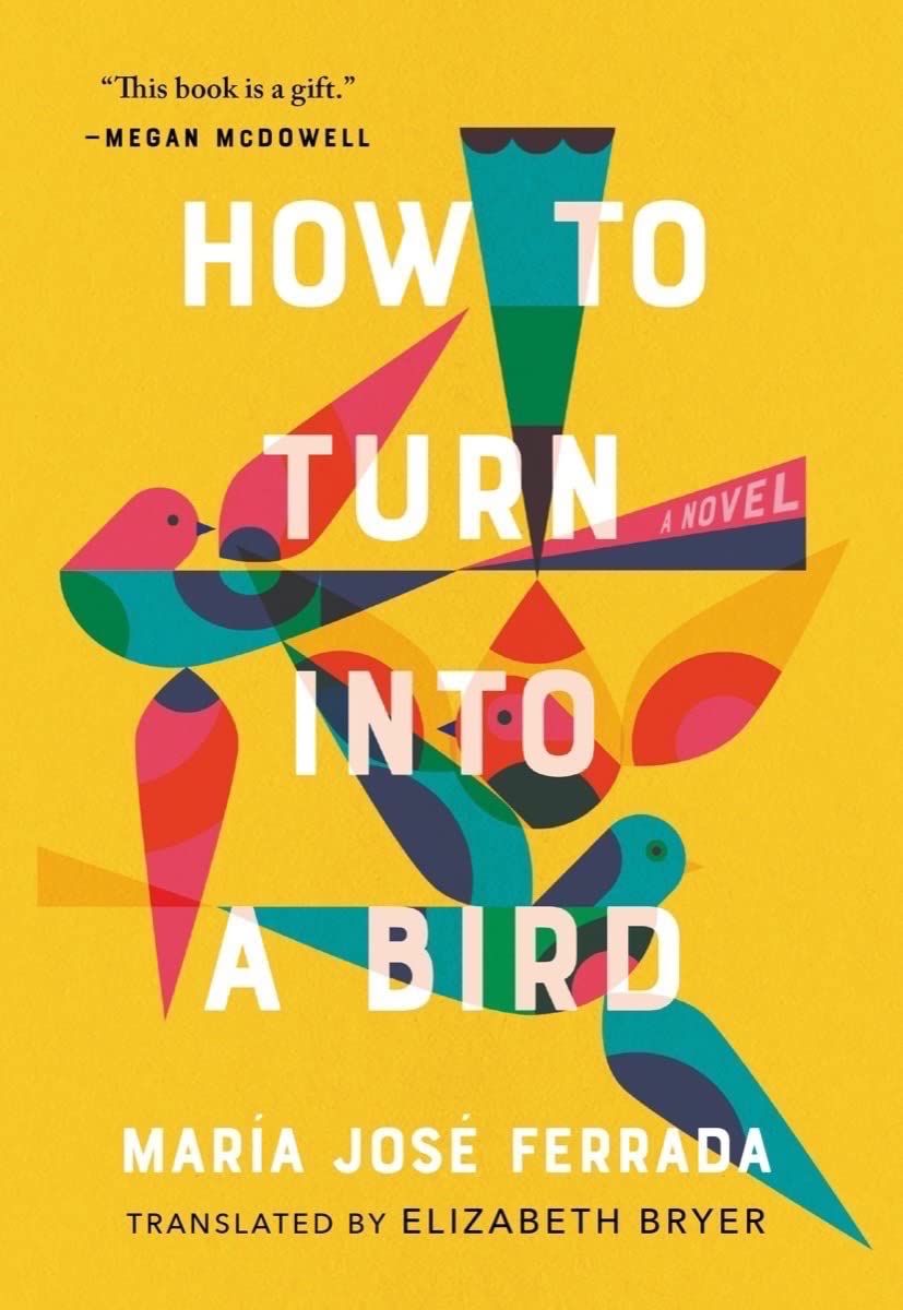 How to Turn Into a Bird  cover
