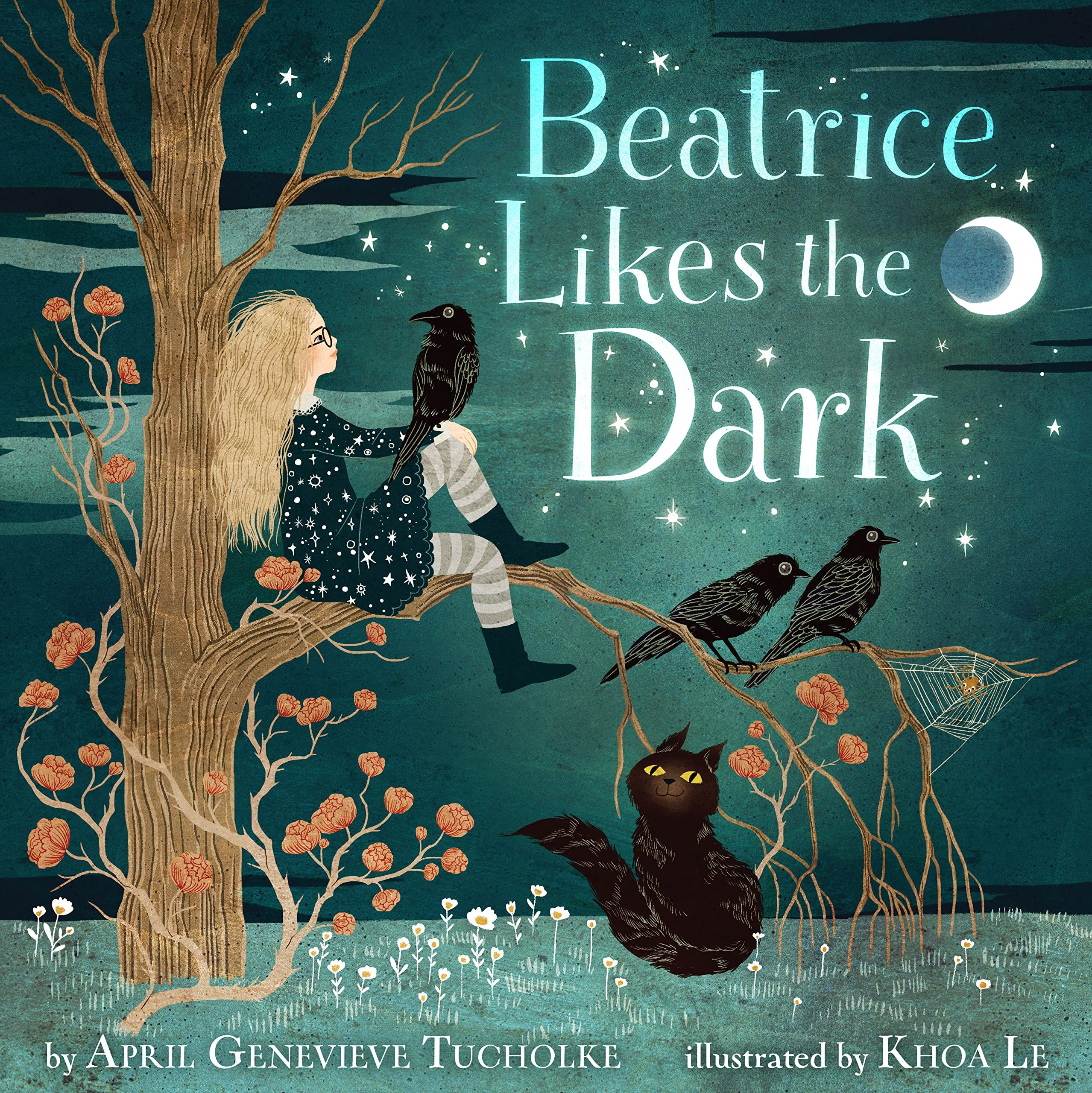 Beatrice Likes the Dark book cover