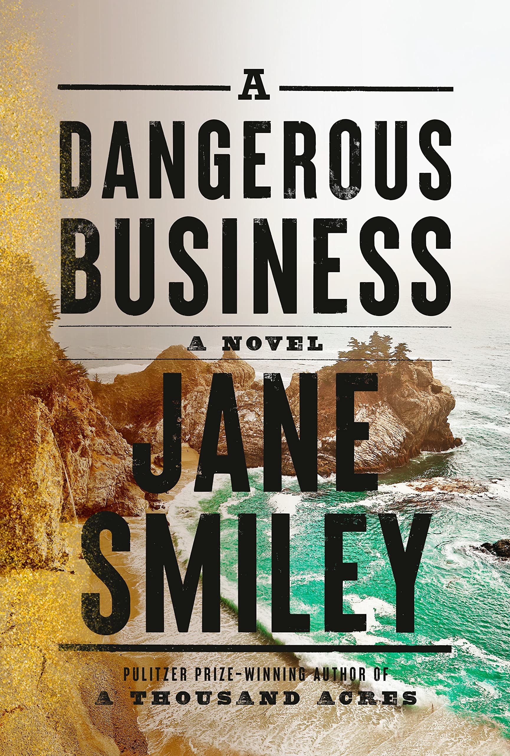 cover of a dangerous business