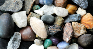 一组岩石和贝壳的照片