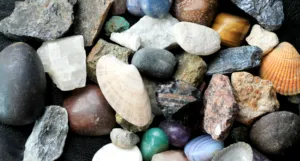 a photo of a collection of rocks and shells