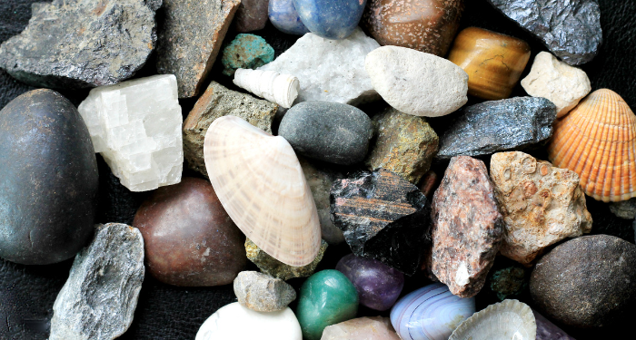 a photo of a collection of rocks and shells