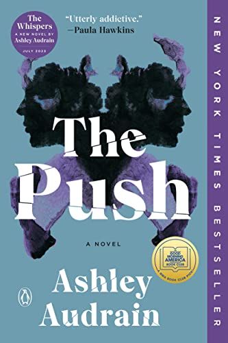 the cover of The Push