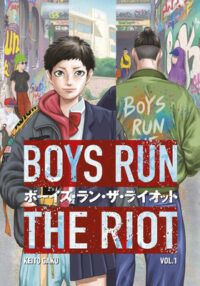 cover of Boys Run the Riot