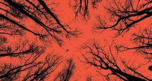 a cropped cover of Bad Cree, showing bare branches against a red sky with a crow flying by