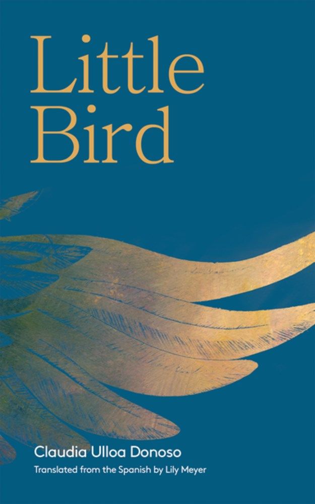 Little Bird book cover