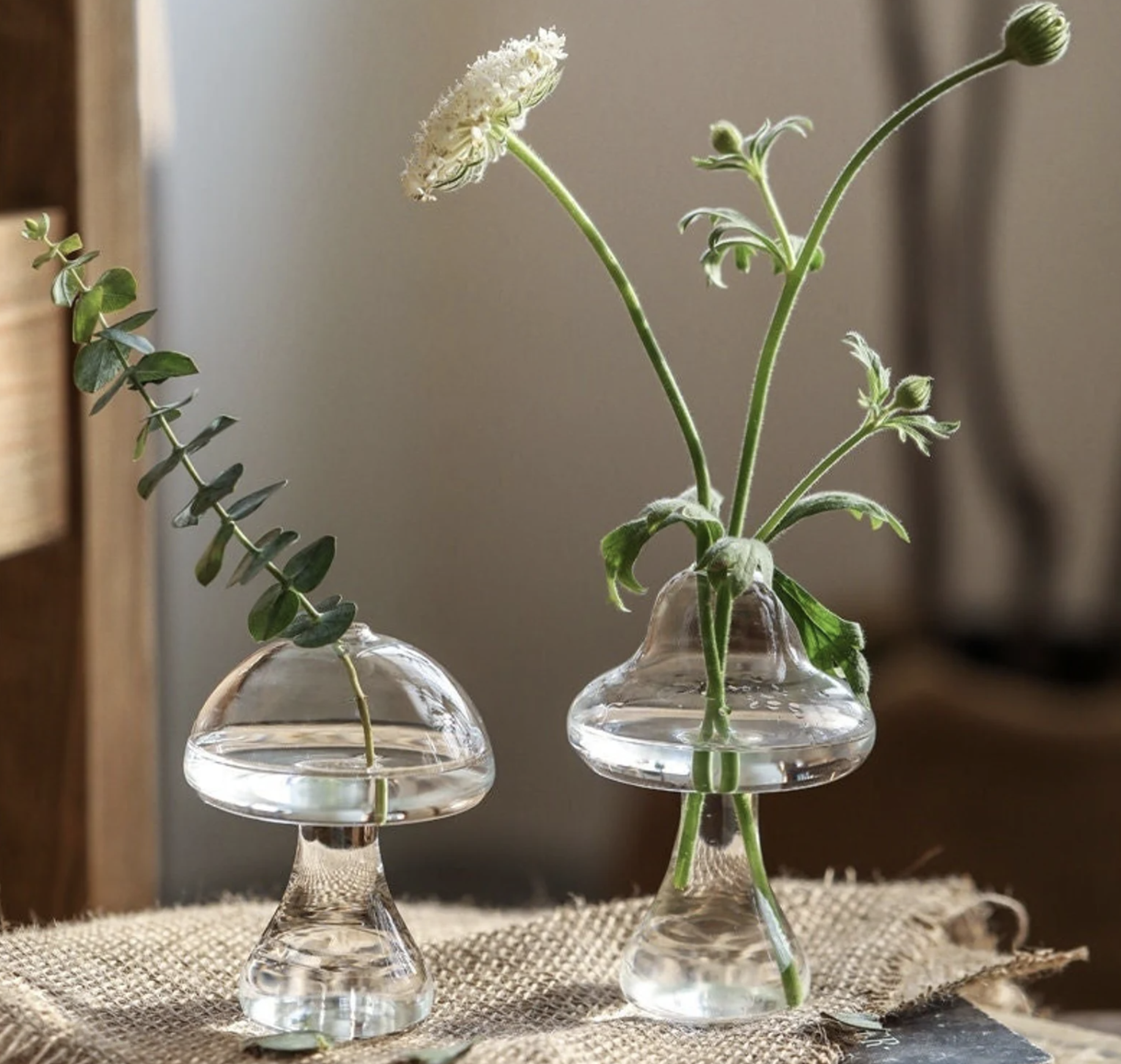 Două vaze din muguri de sticlă transparentă în formă de ciuperci cu fragmente de plante și apă. 