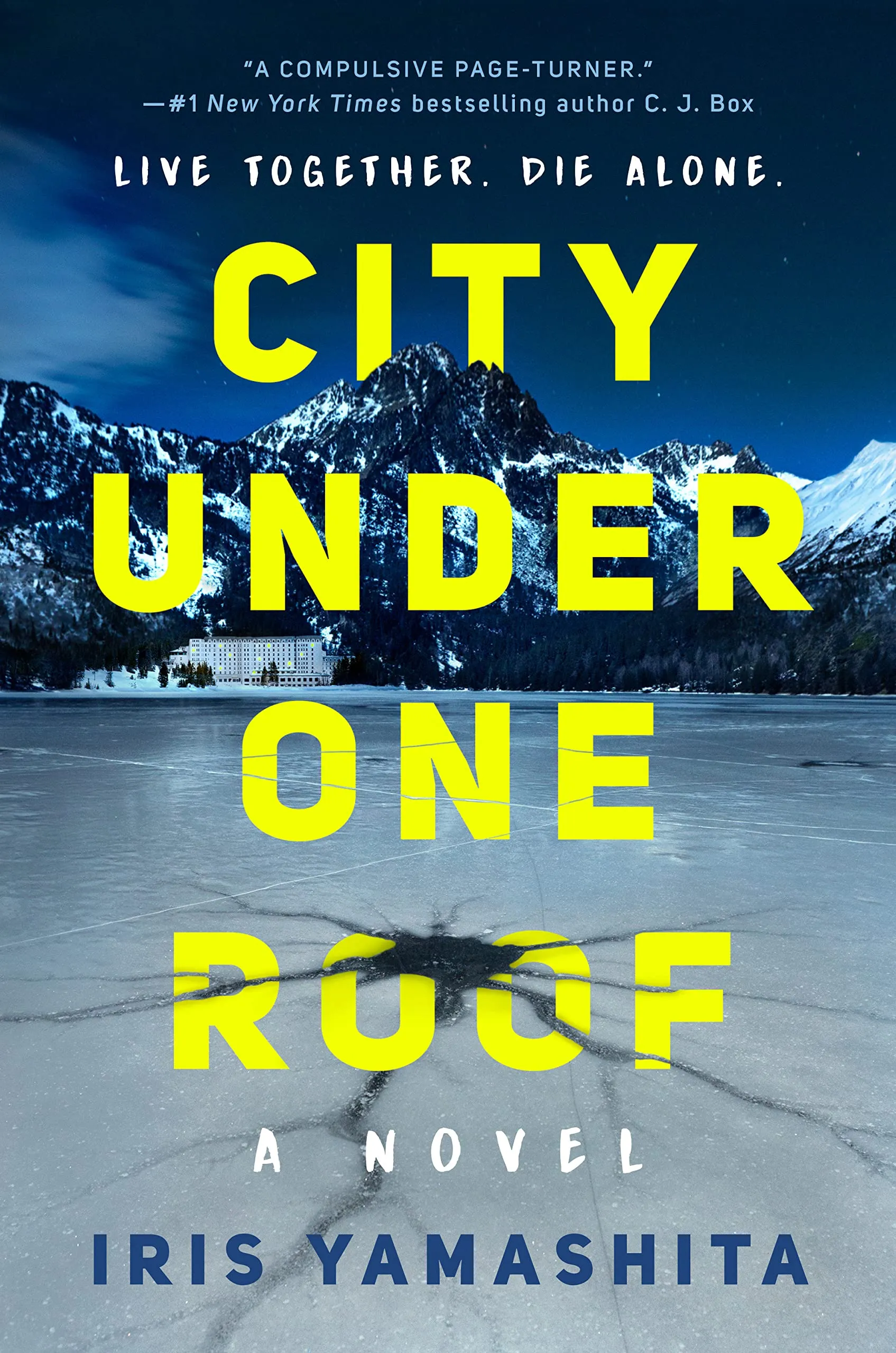 city under one roof book cover