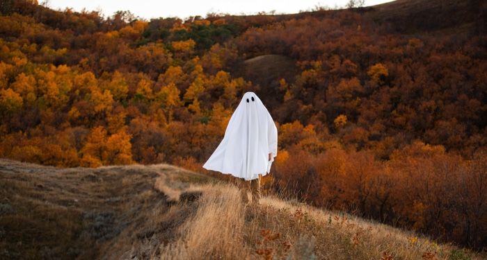 a person with a sheet over their head to look like a ghost against a background of orange trees