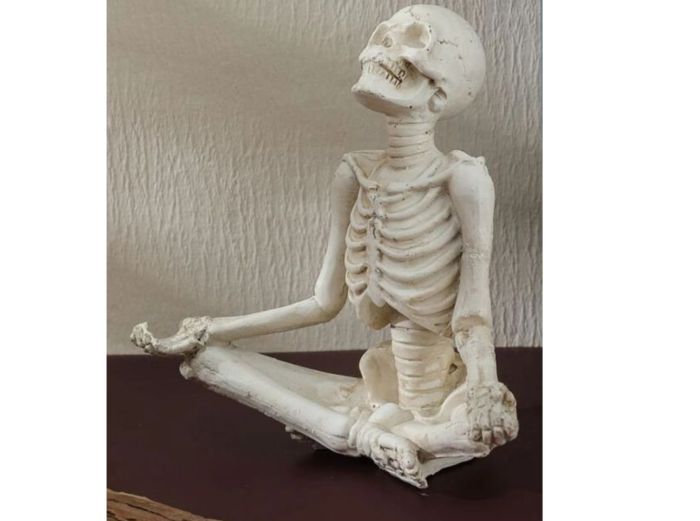 a photo of a seated skeleton
