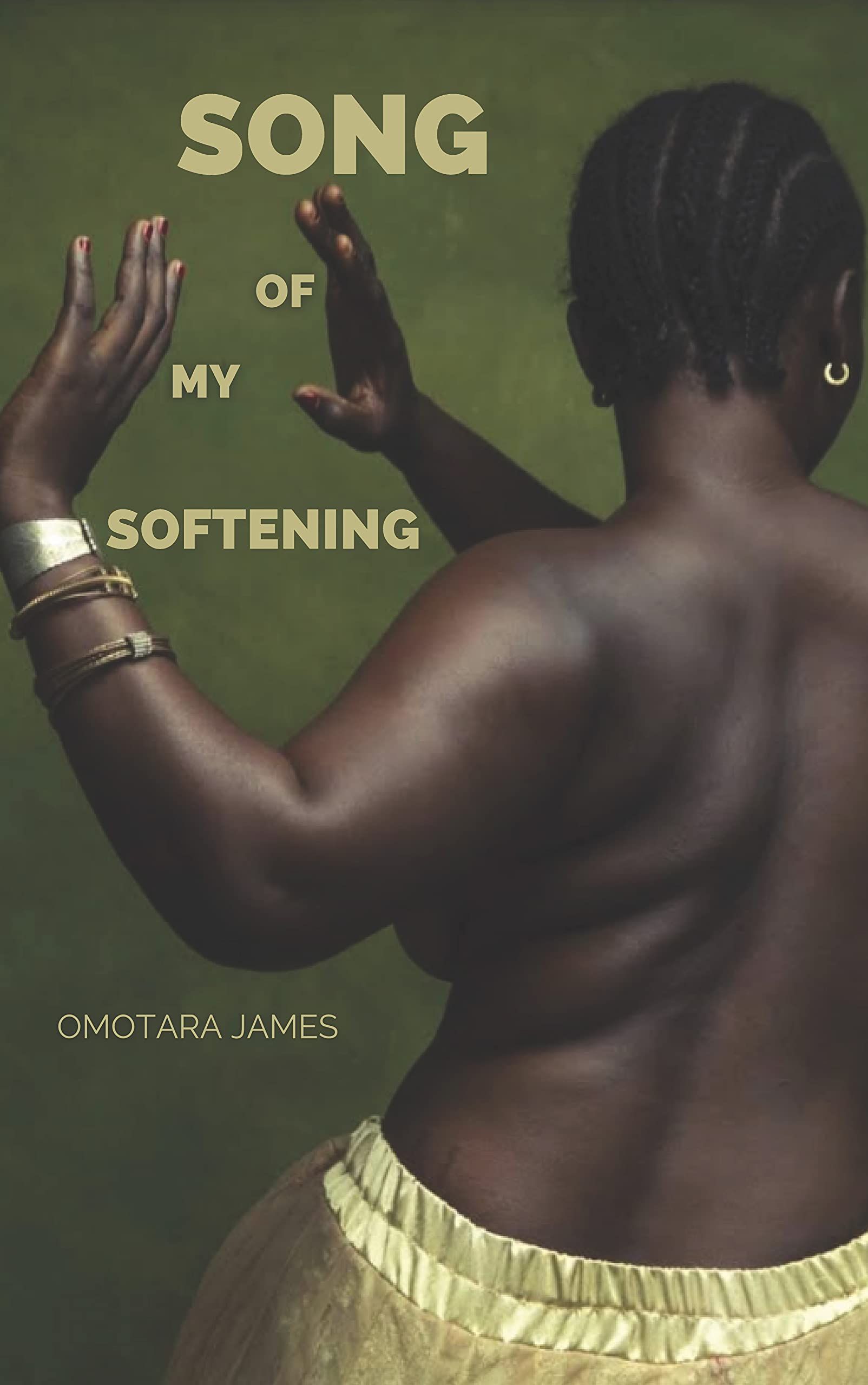 Cover of Song of My Softening