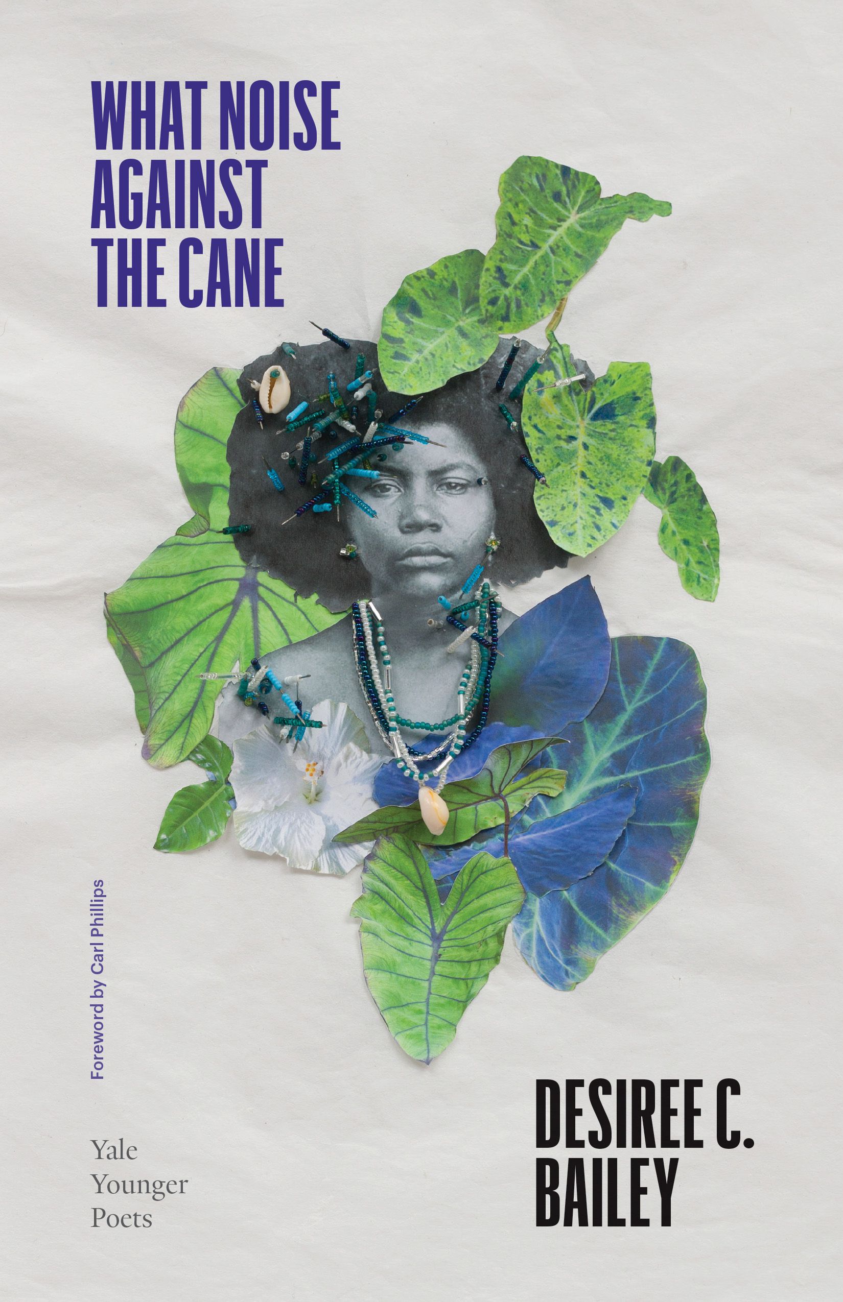 Cover of What Noise Against the Cane