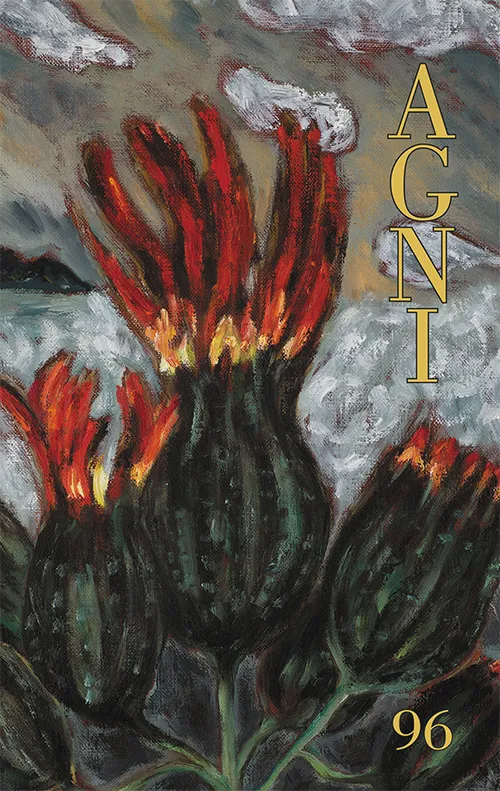 cover of Agni issue 96