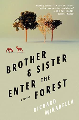 Cover of Brother and Sister Enter the Forest