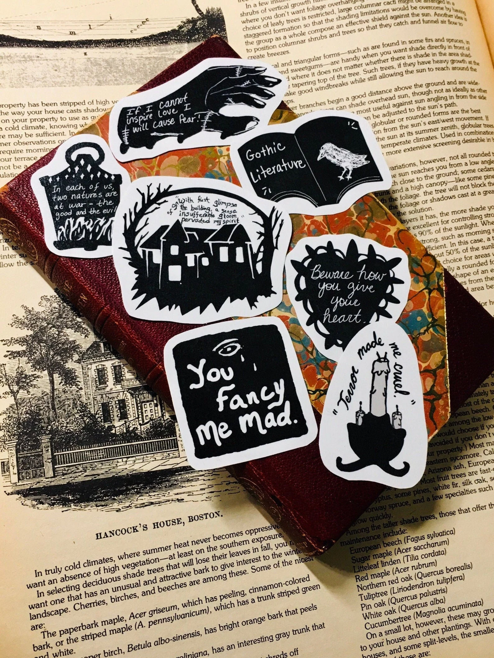 An array of black-and-white stickers with images and quotes from gothic literature.
