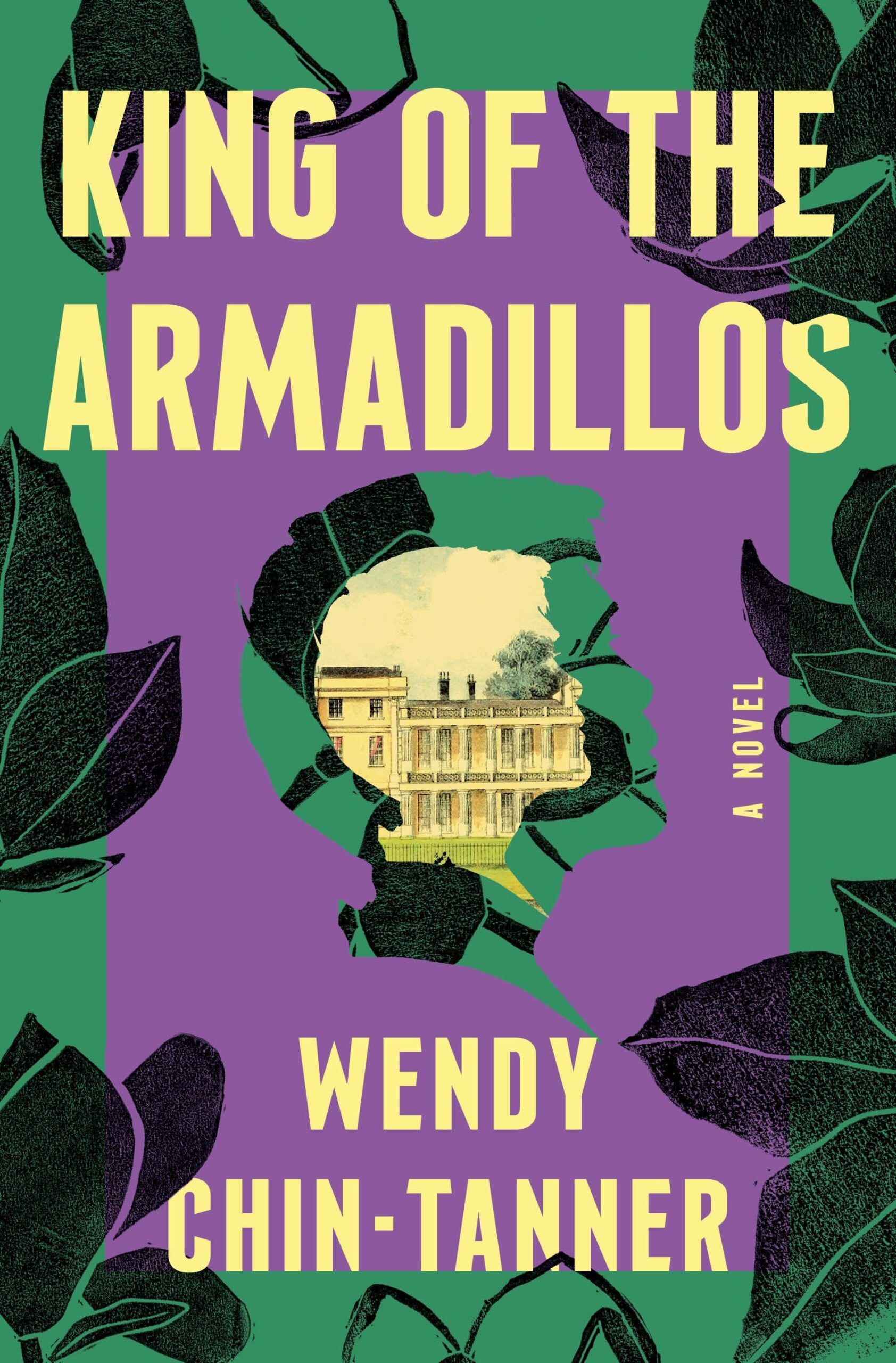 king of the armadillos book cover