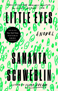Little Eyes by Samanta Schweblin book cover