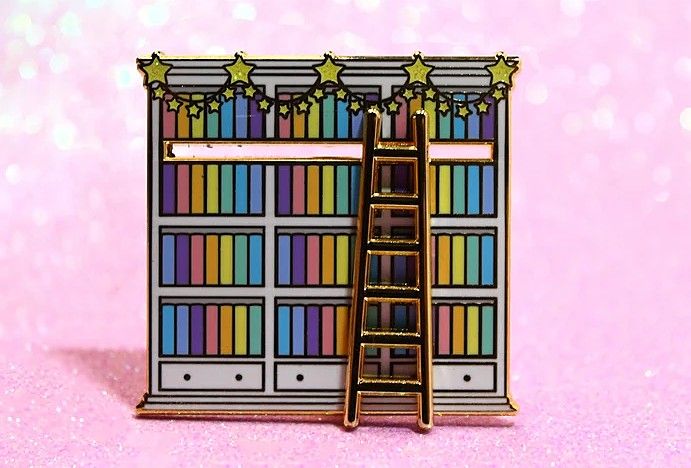 rainbow bookshelf pin with a sliding ladder 